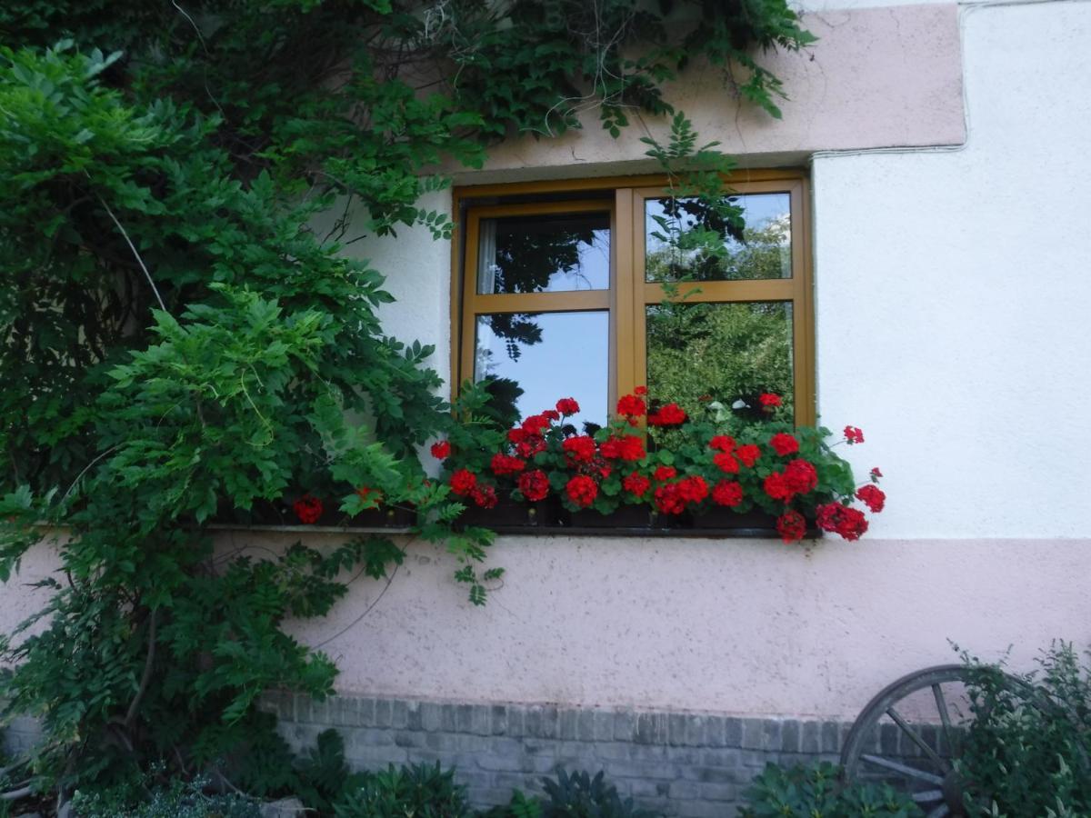 Farma Zahradnice Olbramovice  Extérieur photo